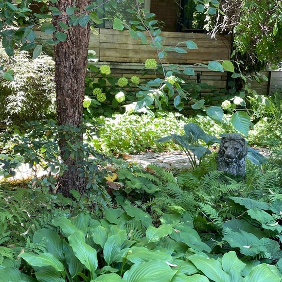 Meet your Posher, Cynthia - Picture 1 of 1